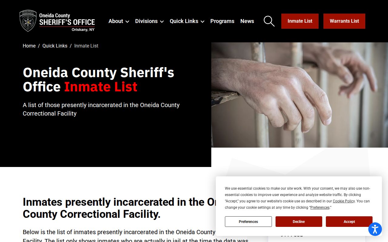 Oneida County jail roster current custody record interface